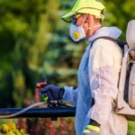 Top-Rated Pest Control in Sydney: Keeping Your Home Safe