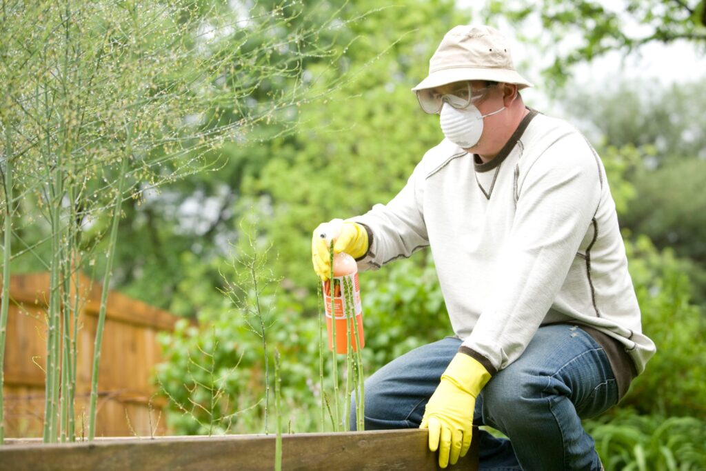 cdc-wz3ijPHvL54-unsplash-scaled-1-1024x683 Why Same-Day Pest Control Is Essential for Sydney Homes