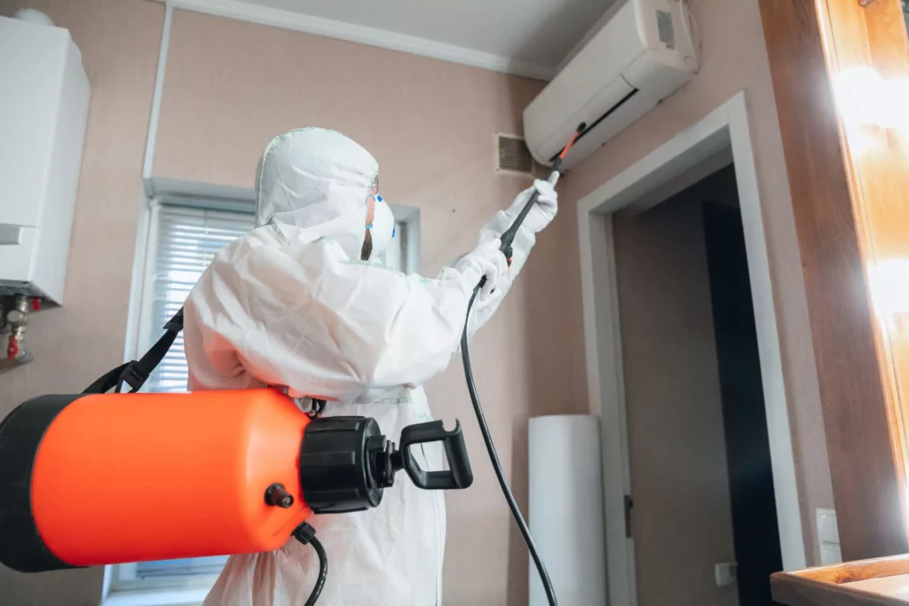  Top-Rated Pest Control in Sydney: Keeping Your Home Safe