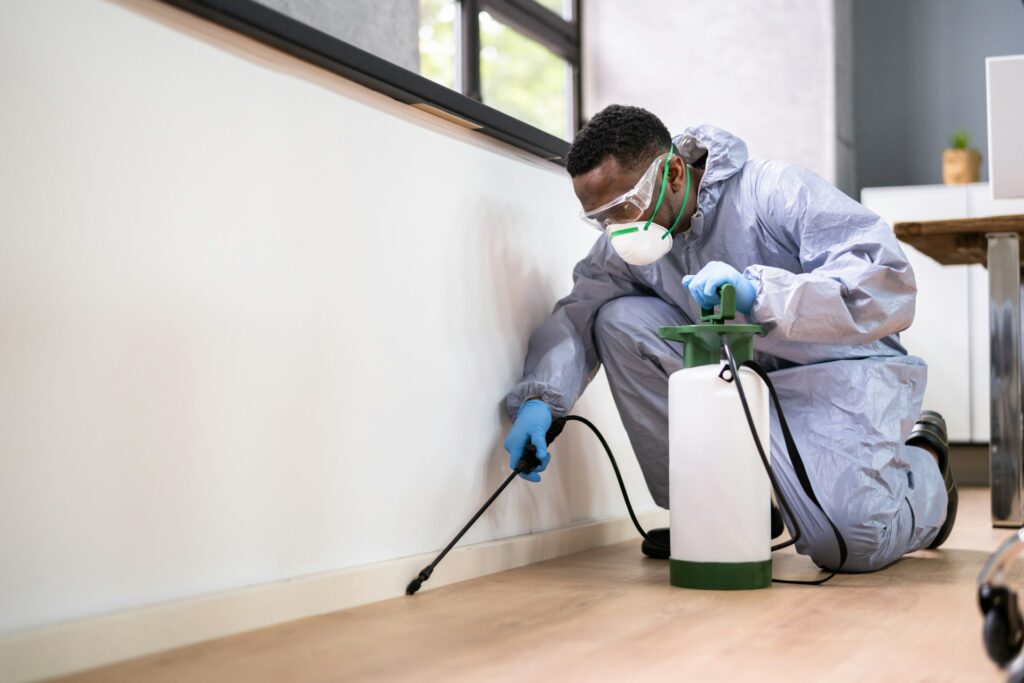  Top-Rated Pest Control in Sydney: Keeping Your Home Safe