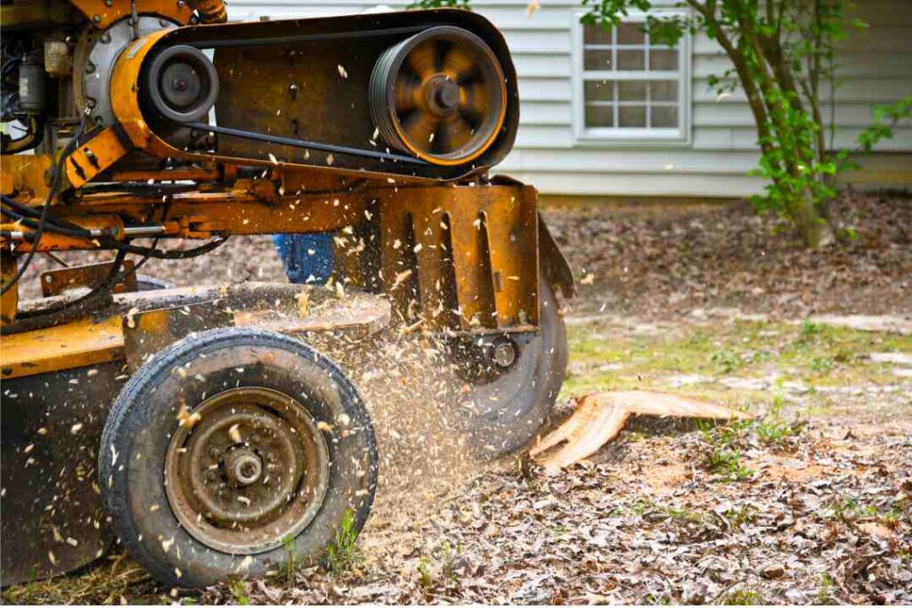 Tree-Grinding-Heavy-duty-machine-1024x683 Tree Grinding and Stump Removals: Expert Stump Grinding Services in Sydney