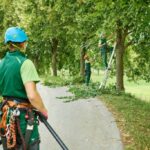 AQF Level 5 Arborist