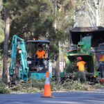 Top 5 Reasons to Choose Local Experts for Tree Removal Hills District