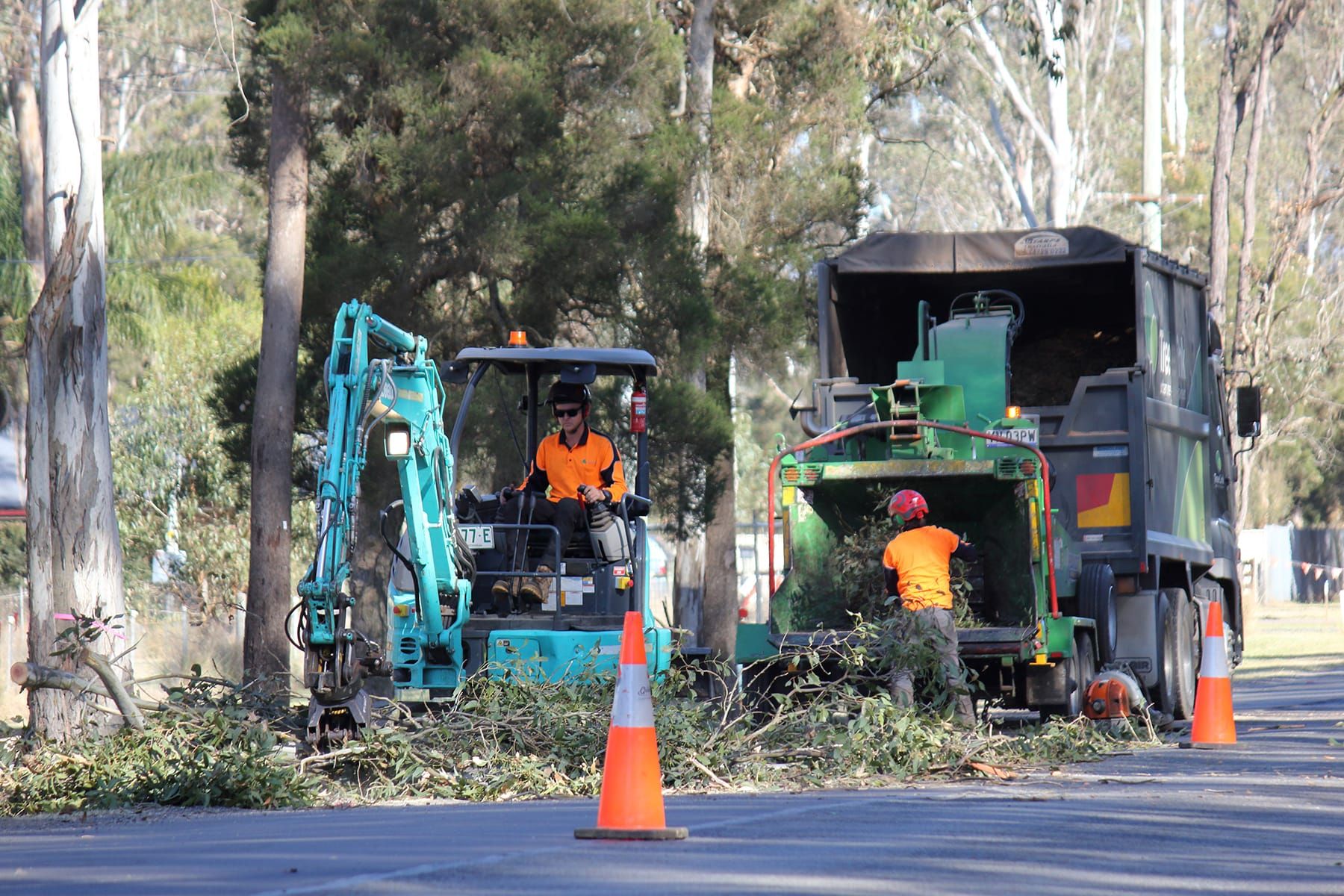 Top 5 Reasons to Choose Local Experts for Tree Removal Hills District